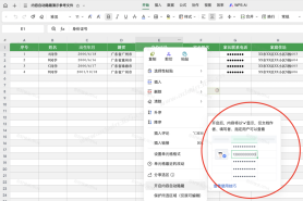 WPS 在线表格（云表格、智能表格）：“内容自动隐藏”功能，保护重要数据的安全