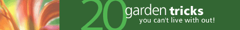 20.gif
