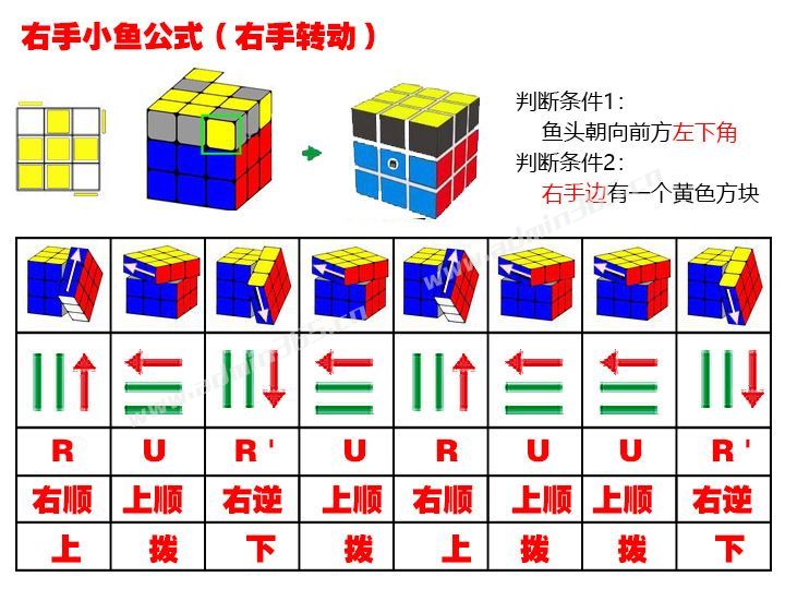 右手小鱼_右手转动.jpg