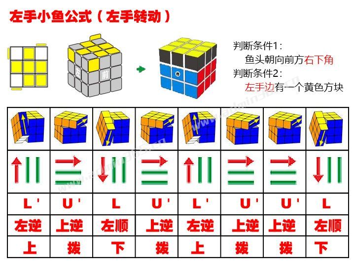 左手小鱼_左手转动.jpg