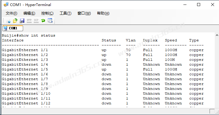 show int status.png