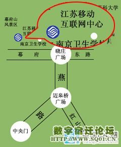 01.jpg